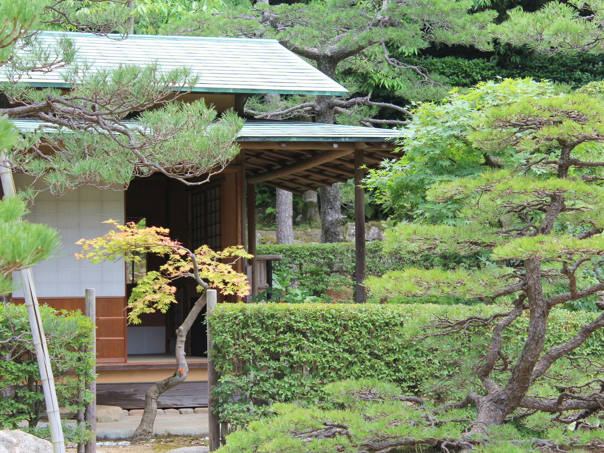 Hotel Gyokusen Matsue Exterior foto